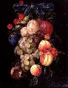 Cornelis de Heem A Garland of Fruit oil painting reproduction